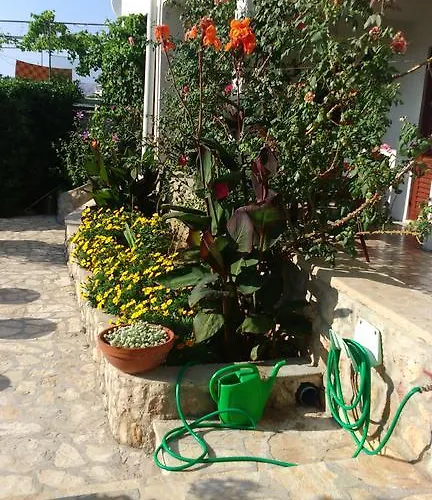 Apartments Vesna