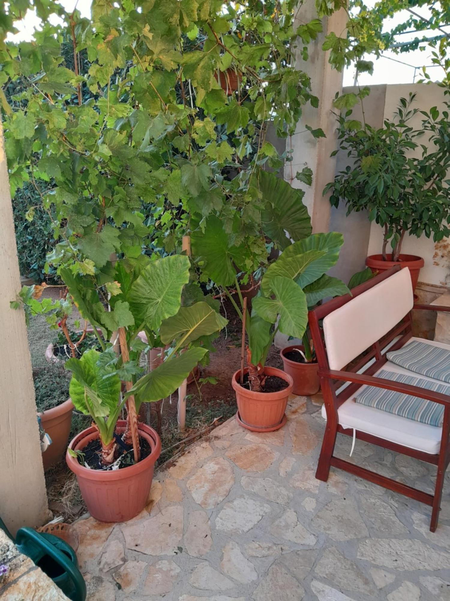 Apartment Apartments Vesna *