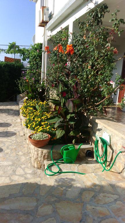 Apartments Vesna